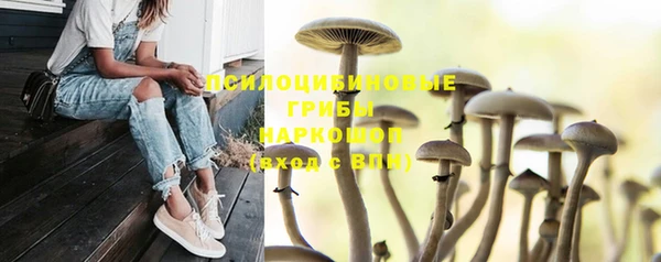 mdma Инсар